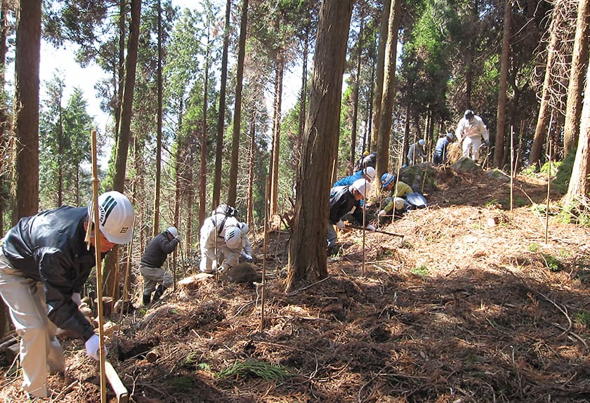 阿蘇大観の森植樹活動